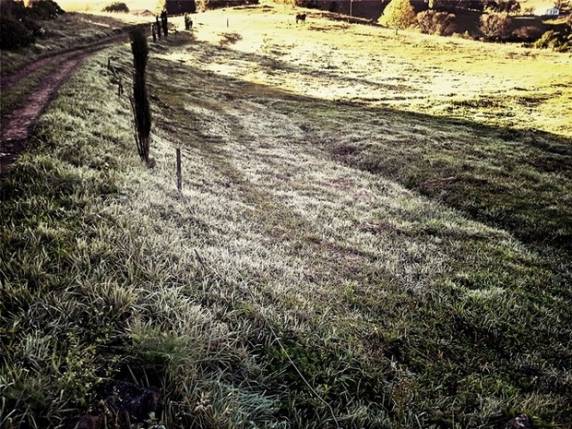 28 cidades catarinenses registraram temperaturas abaixo dos 10°C