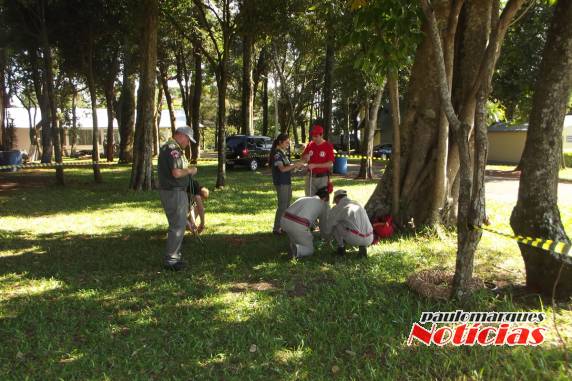 Bombeiros de Três de Maio realizam treinamento - foto 4