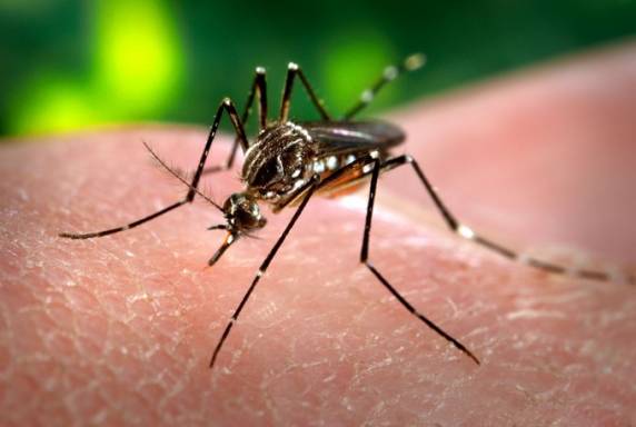 O 

infectado é morador da Vila Balneário