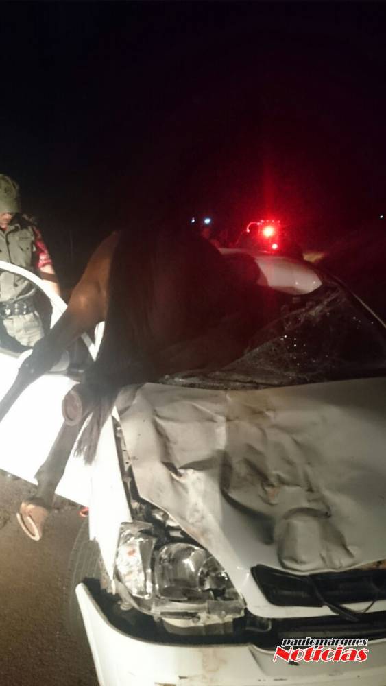 Mulher morre após carro colidir contra cavalo em
rodovia em Palmeira das Missões - foto 2