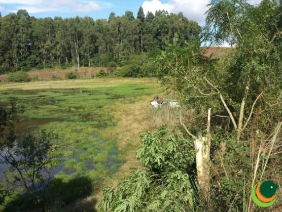 Buraco no asfalto resulta em capotamento no trecho entre Passo Fundo/Pontão - foto 3