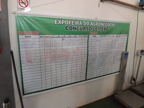 Aconteceu hoje a Grande Final do Concurso do Gado Leiteiro - foto 3