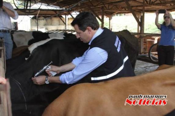 Governador disse que o leite gaúcho é o melhor do Brasil