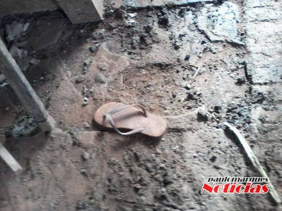 Estuprador de terneiras volta a agir em Três de Maio - foto 3
