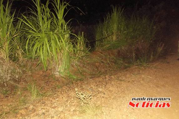Homem morre ao sofrer queda com moto no interior de Três de Maio - foto 3