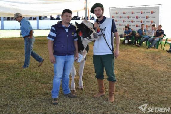 Novilha 80 alcançou o 2º lugar no concurso leiteiro na categoria 

raça Holandesa Jovem, enquanto a Novilha 83 alcançou a 1ª colocação no concurso de morfologia na categoria raça Holandesa Sênior