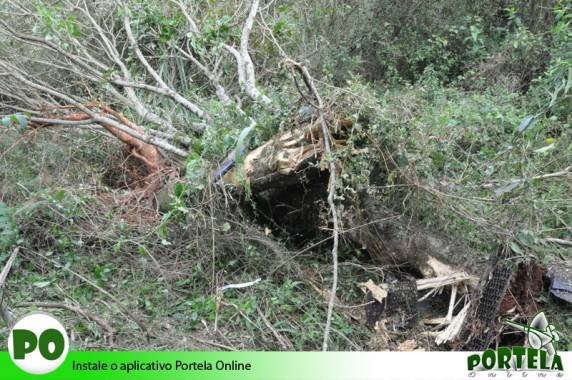 Carro colide, arranca
árvore e motorista sofre apenas arranhões na RSC 472 - foto 5