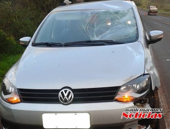 Ciclista morre depois de ser atropelado na BR 472 em Três de Maio - foto 4