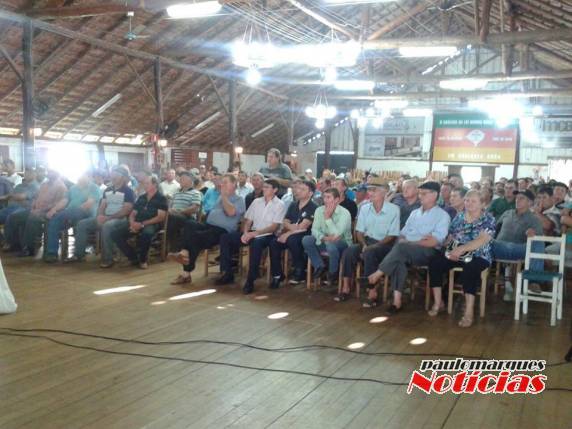 COTRIMAIO continua com negócios em busca de recuperação - foto 3