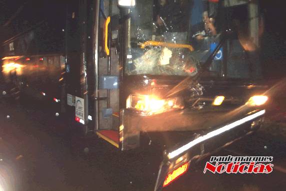 Idoso morre em grave acidente na ERS 342 em Três de Maio - foto 7
