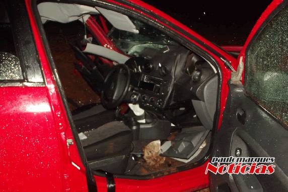 Idoso morre em grave acidente na ERS 342 em Três de Maio - foto 2