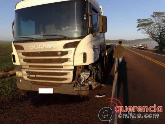 Uma pessoa morreu em
acidente que envolveu um caminhão com placas de Três de Maio - foto 2