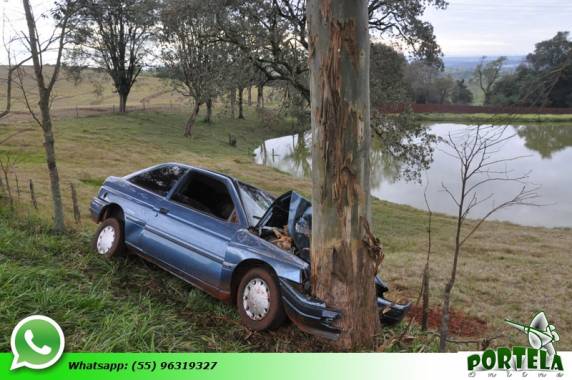 Carro colide em árvore na ERS-330 em Miraguaí - foto 2