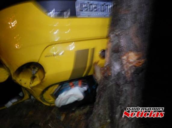 Casal de São Miguel do Oeste se envolve
em acidente em Panambi - foto 3