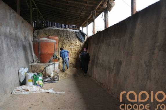 Homem é encontrado morto em uma granja no interior de
Santo Ângelo - foto 2