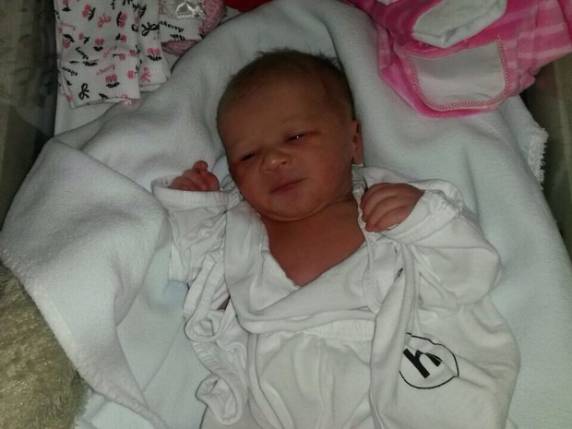 Mãe dá à luz dentro de ambulância na
rodovia SC-401, em Florianópolis - foto 3