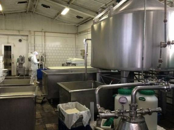 Escutas comprovam baixa qualidade do queijo adulterado em Três de Maio - foto 3