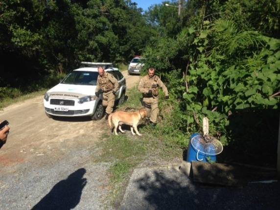 Polícia Militar prende traficante e apreende arma no Mariscal em 

Bombinhas - foto 2