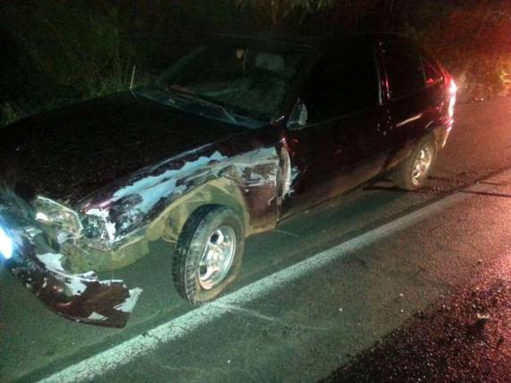 Colisão entre três carros deixa seis pessoas feridas na 282 - foto 3