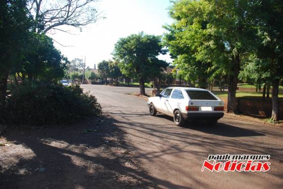 Galhos tomam conta de uma das pistas na rua Consolata - foto 2