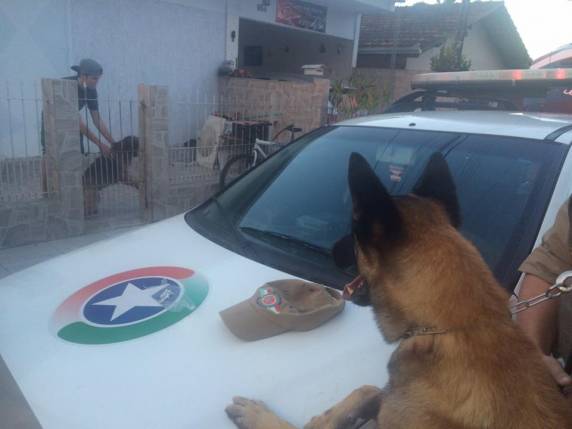 Polícia Militar prende traficante que escondia drogas em
galinheiro - foto 3
