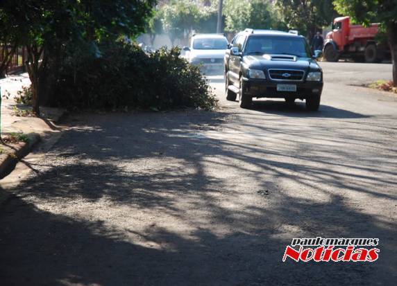 Galhos são recolhidos no bairro
Medianeira - foto 2