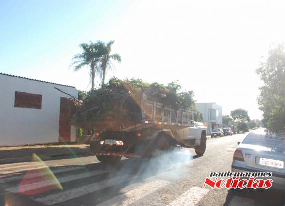 Galhos são recolhidos no bairro
Medianeira - foto 5