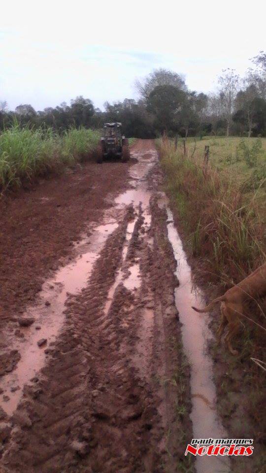 Moradores de área rural reclamam de situação de estrada em Três de Maio - foto 2