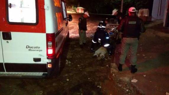 Preso motorista que se jogou
embaixo do veículo do guincho - foto 4