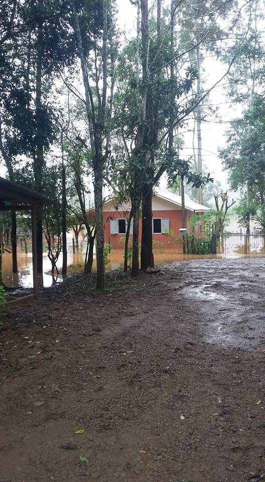 Nível sobe e águas do rio Uruguai chegam as casas na Ilhas do Chafariz - foto 4
