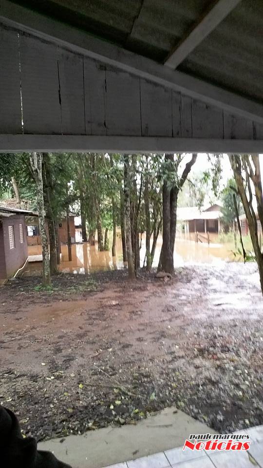 Nível sobe e águas do rio Uruguai chegam as casas na Ilhas do Chafariz - foto 2