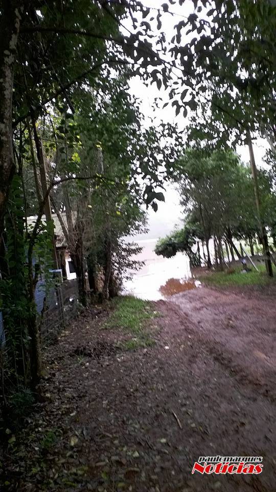 Nível sobe e águas do rio Uruguai chegam as casas na Ilhas do Chafariz - foto 3
