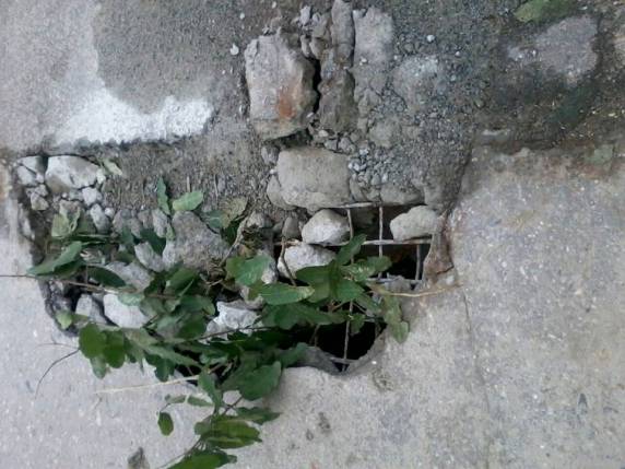 Situação de calamidade no bairro Ilhota em Itapema - foto 2