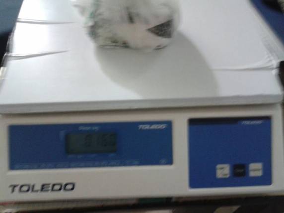 Polícia Militar de Itapema prende dois por tráfico de drogas - foto 3