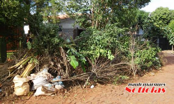 Moradores reclamam de acumulo de galhos e entulhos em bairro de Três de Maio - foto 3