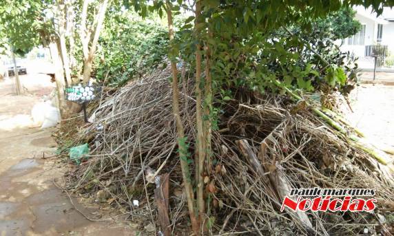 Moradores reclamam de acumulo de galhos e entulhos em bairro de Três de Maio - foto 2