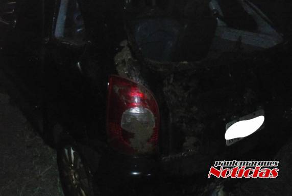 Veículo
cai no leito de um rio no interior de Humaitá - foto 5