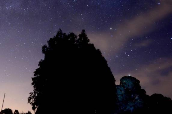 Fotos mostram pico da chuva de meteoros Perseidas no RS - foto 3