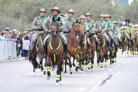 Exame de mormo é obrigatório para animais que participam de 

eventos desde que foi constatado primeiro caso no RS, em Rolante, em junho deste ano. Até o momento, cerca de 9 mil cavalos foram examinados