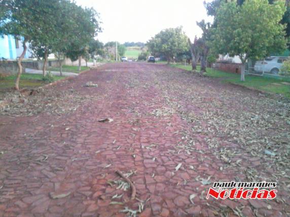 Morador de Independência reclama da falta de maiores cuidados na hora de recolher galhos - foto 2