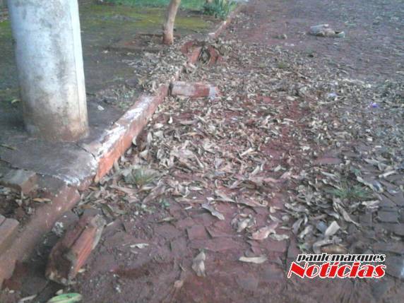 Morador de Independência reclama da falta de maiores cuidados na hora de recolher galhos - foto 5