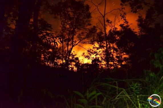 Incêndio atinge dois hectares e ameça casas em São Miguel do Oeste - foto 4