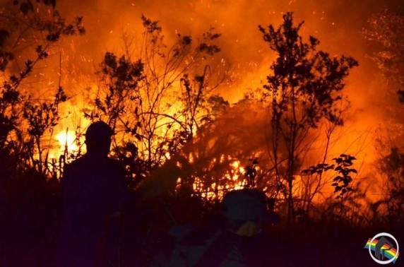 Incêndio atinge dois hectares e ameça casas em São Miguel do Oeste - foto 3