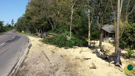 Tombamento de carreta deixa motorista ferido no
trecho Passo Fundo-Marau - foto 3
