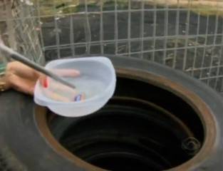 Itajaí
faz plano de contingência e SC fica alerta para nova onda de dengue - foto 3