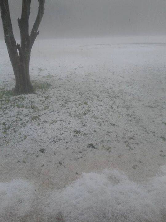 Muito granizo em cidades da Serra Gaúcha - foto 4