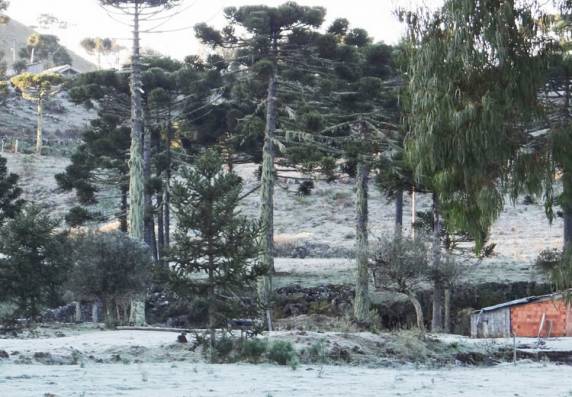 Cidade de SC registra -6,3ºC, temperatura mais baixa do ano - foto 3