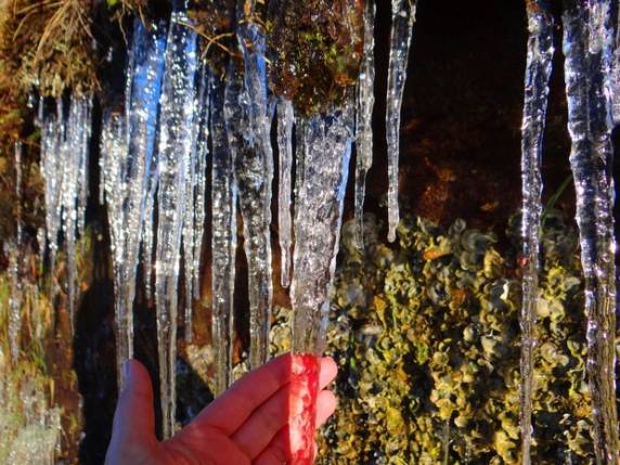 Ao menos 14 municípios tiveram temperaturas 

negativas neste sábado (12)