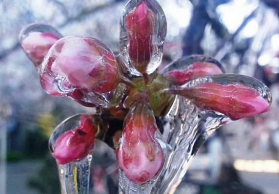 Cidade de SC registra -6,3ºC, temperatura mais baixa do ano - foto 2