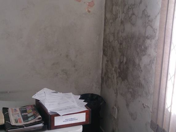 Auditores do MTE interditam próprio local de trabalho em Blumenau, SC - foto 4